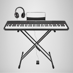dan organ 1