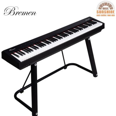 Piano Bremen BM310 3 1