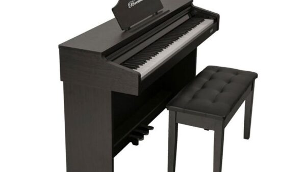 Piano Bremen BM353 2 Copy