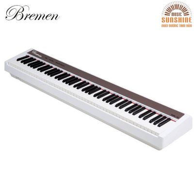 piano Bremen BM310 2 Copy