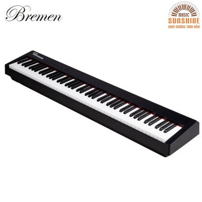 piano Bremen BM310 4