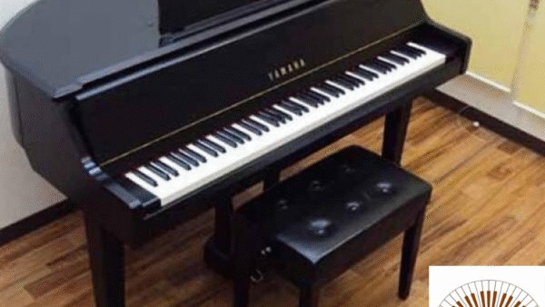 Đàn Piano Yamaha DGP1