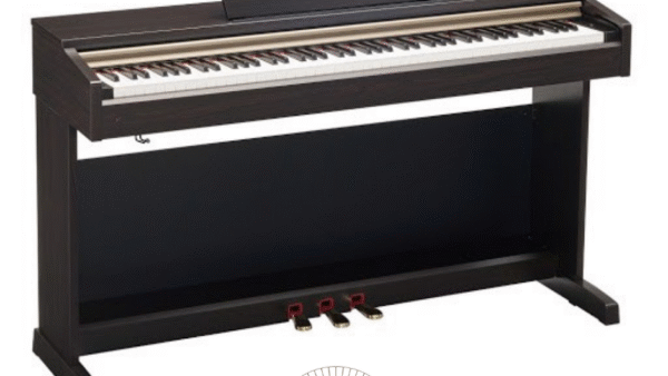 Đàn Piano Yamaha YDP-151