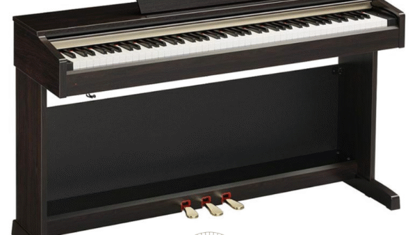 Đàn Piano Yamaha YDP-160