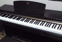 images 14