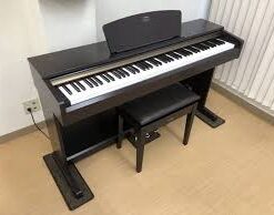 images 3 1
