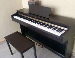 tai xuong 20