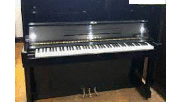 Đàn Piano Eterna E2D