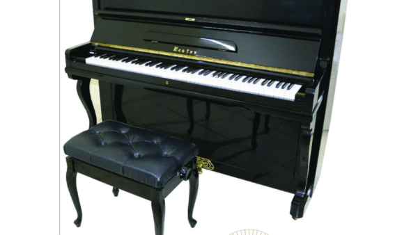 Đàn Piano cơ Lester