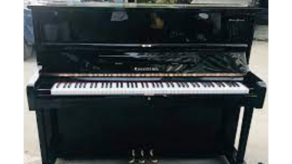Đàn Piano Rosenstock