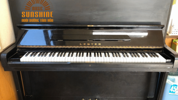 Đàn Piano Lester L3