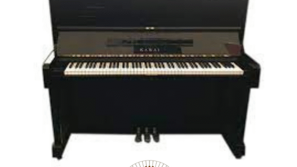 Đàn Piano Kawai BS10