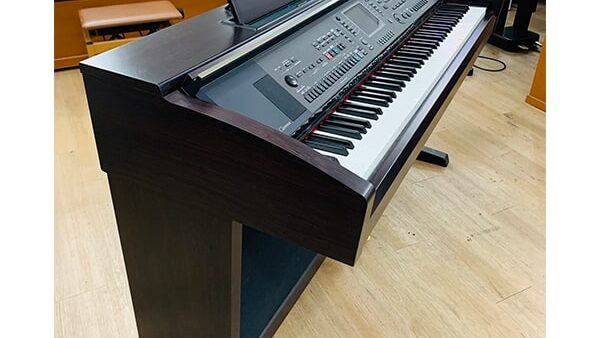 dan piano bien hoa 1