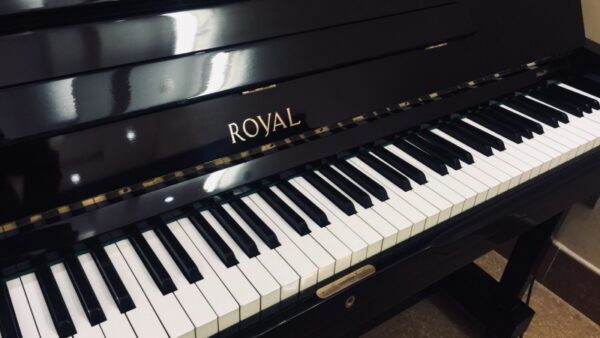 dan piano co royal r 203 205104