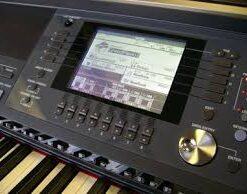 images 1 1