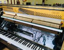 images 12