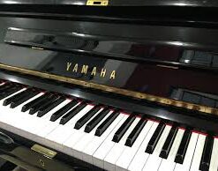 images 2 1