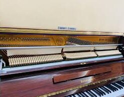 images 23