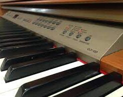 images 24