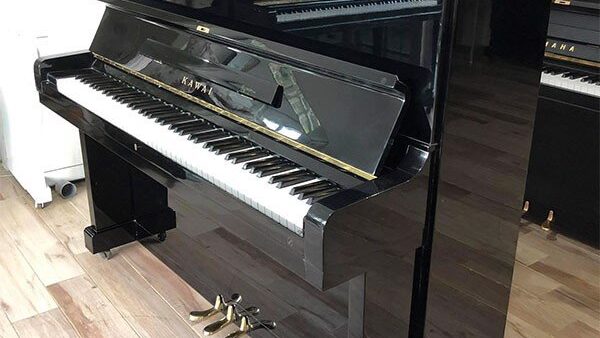 kawai ku2d 2 8c37269d2ec04a818c881c1952eba8b1 master 1