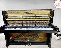 tai xuong 2 5