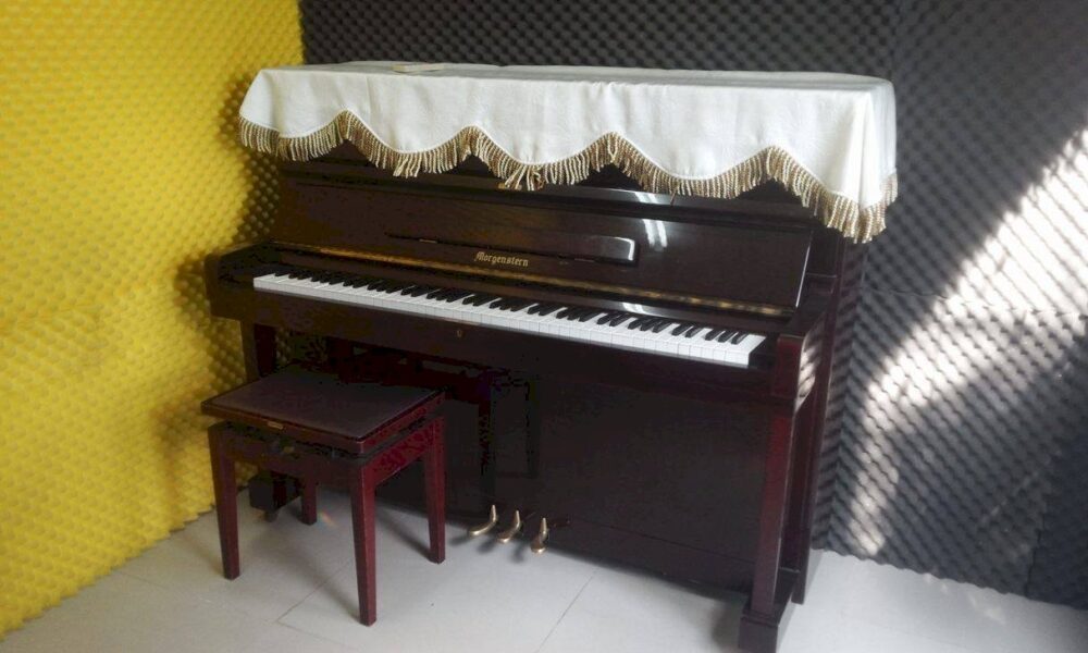 Đàn Piano Morgenstern MU2 - Ảnh 11